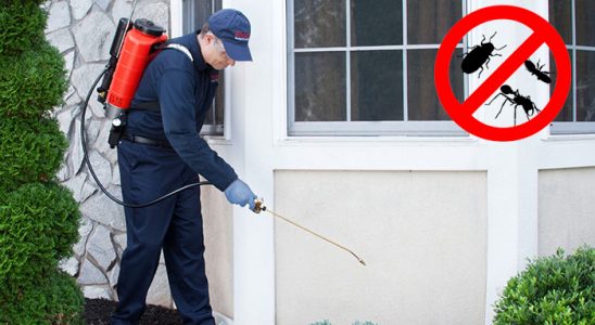 Atakum Böcek İlaçlama böcek ilaçlama ve haşere kontrolü — ilaclama-tr.com